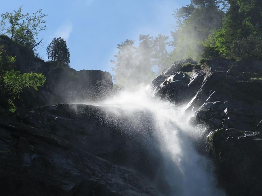 "Le Desman" Confortable T2 A La Montagne Face Aux Thermes Rando, Cure Aulus-les-Bains Exterior photo